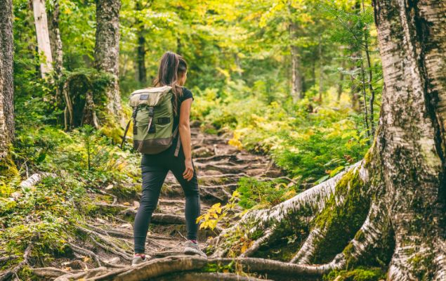 A Guide to the Best Hiking Trails in Arizona