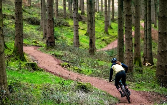 Best Cycling Trails in the USA