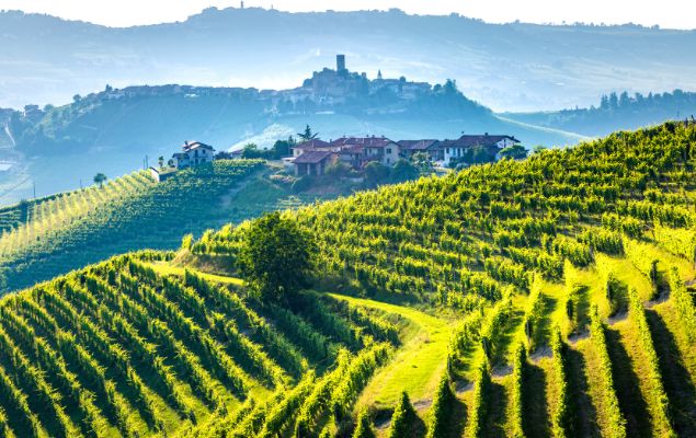 Exploring the Best Wine Regions in Italy