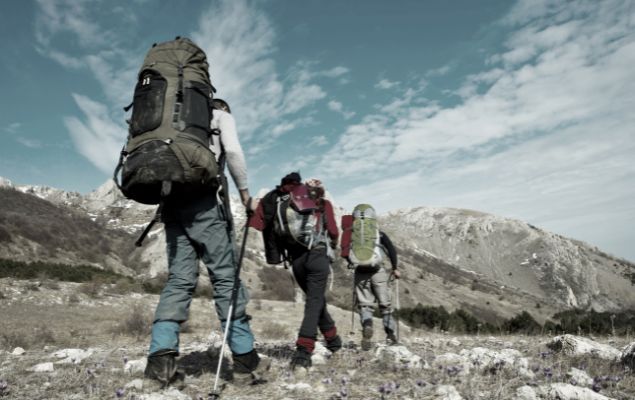 Hiking Trails in and Around Washington: A Nature Lover’s Dream