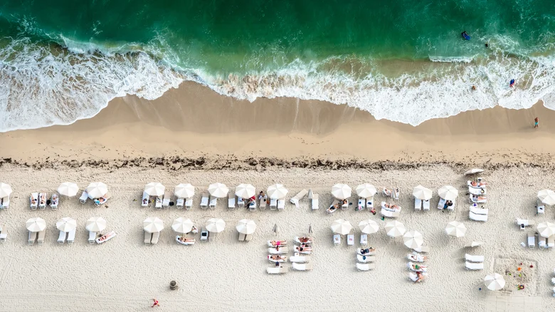 The Most Dangerous Season to Swim in the Atlantic Ocean