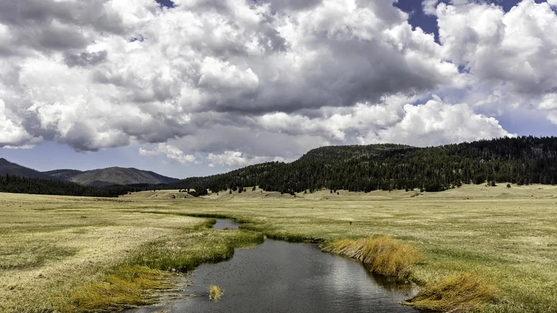 Discover New Mexico’s Hidden Gem: A Park on a Dormant Supervolcano with Stunning Views