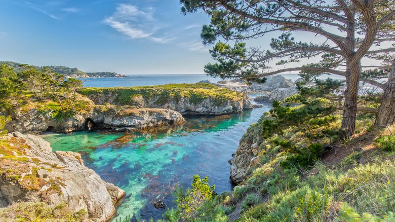 Discover California’s Best-Kept Secret: A State Park with Epic Hikes, Marine Wonders & Wildlife