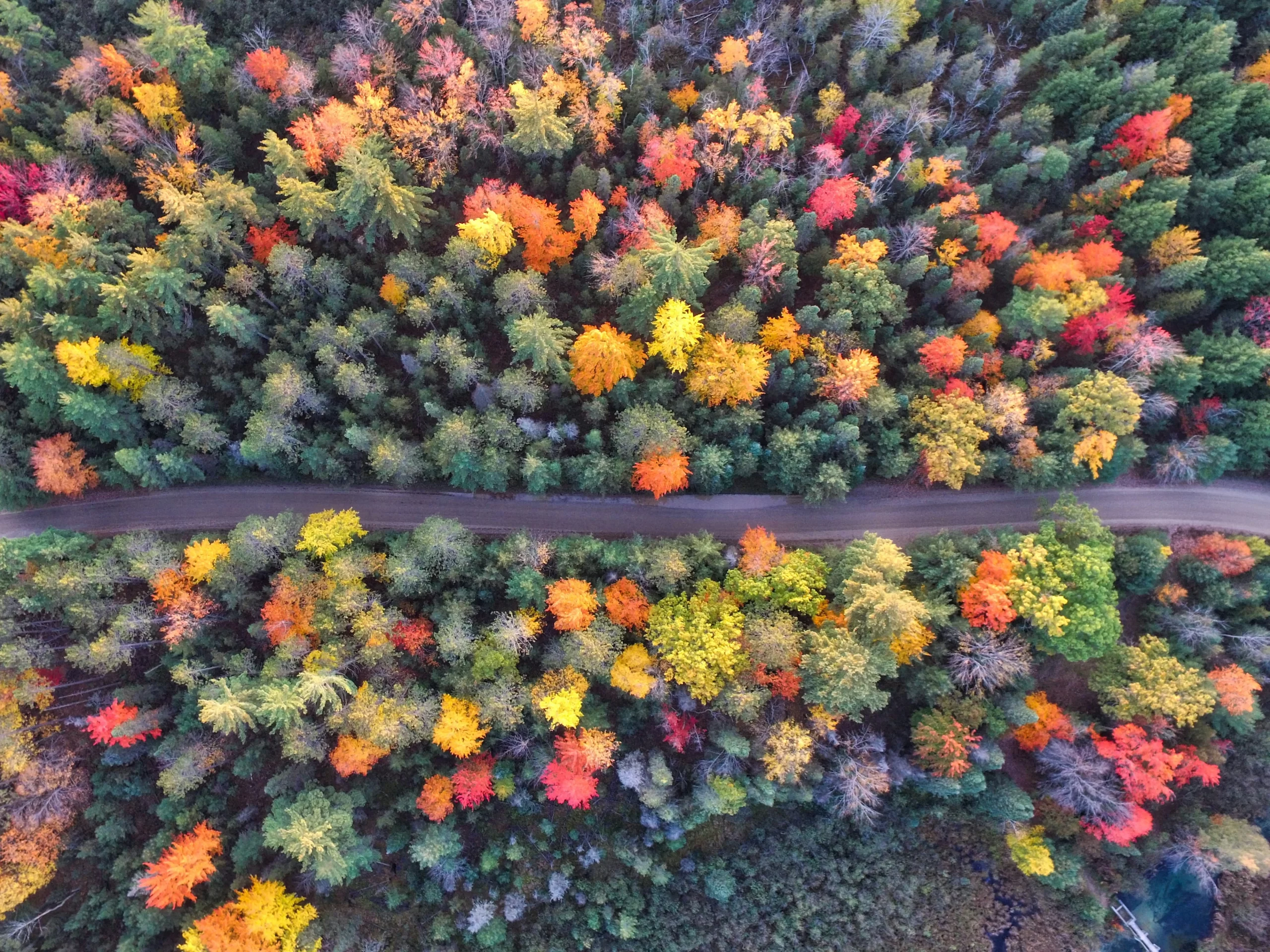 Exploring the Magic of Autumn in New England: Best Fall Foliage Destinations