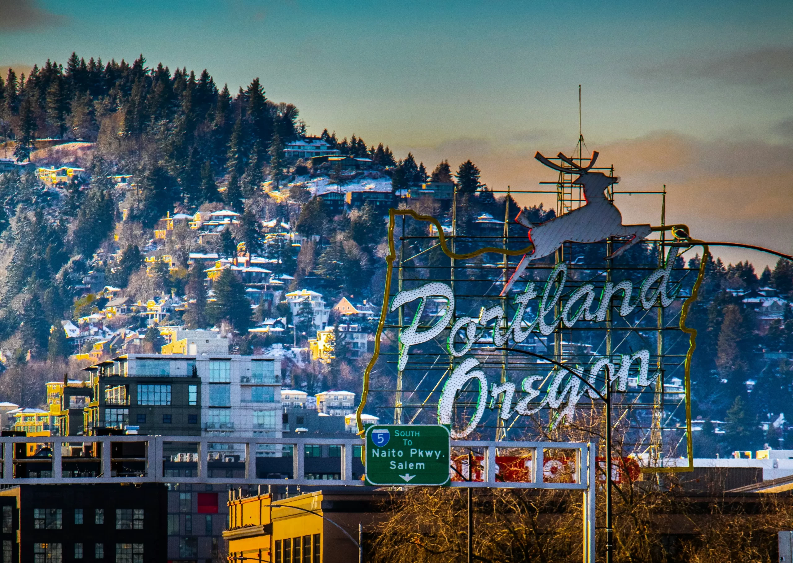 Portland, Oregon in 2025: Eco-Friendly Living, Foodie Adventures