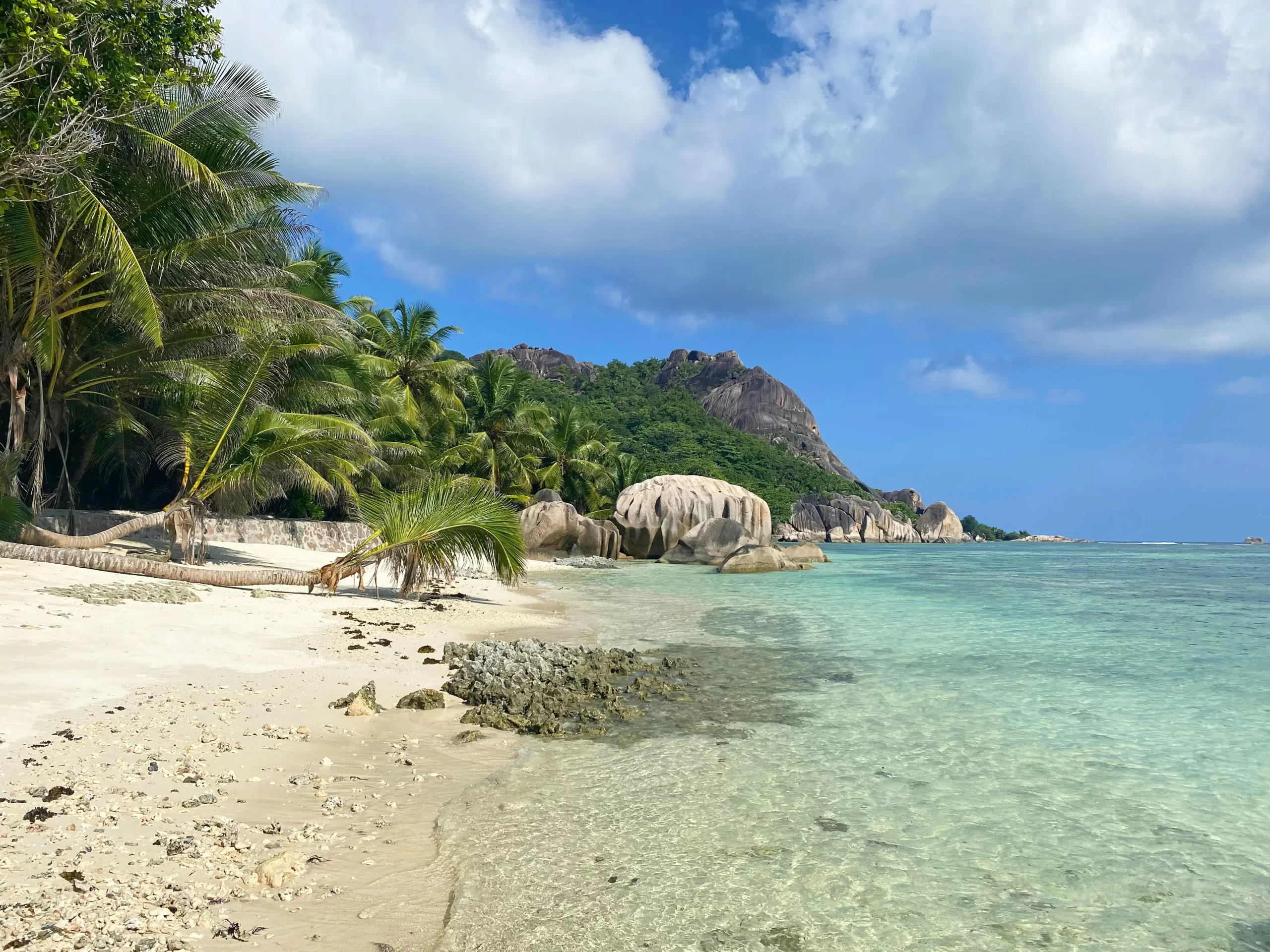 Paradise Found in Seychelles: A 2025 Travel Guide