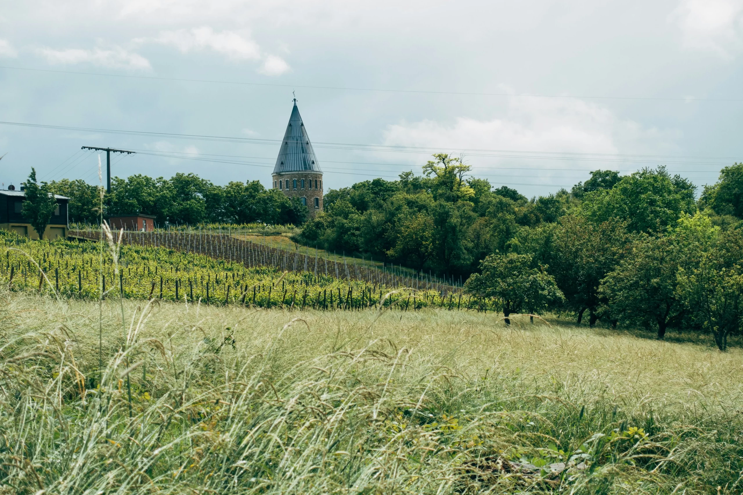 Fredericksburg, Texas in 2025: Hill Country Wine & German Heritage