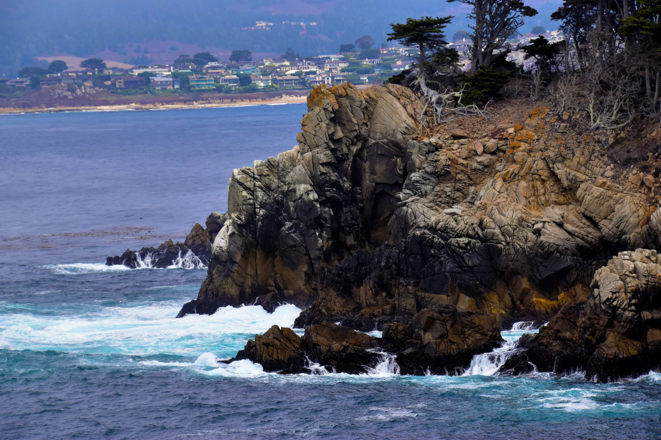 Monterey, California in 2025: Coastal Wonders & Marine Magic
