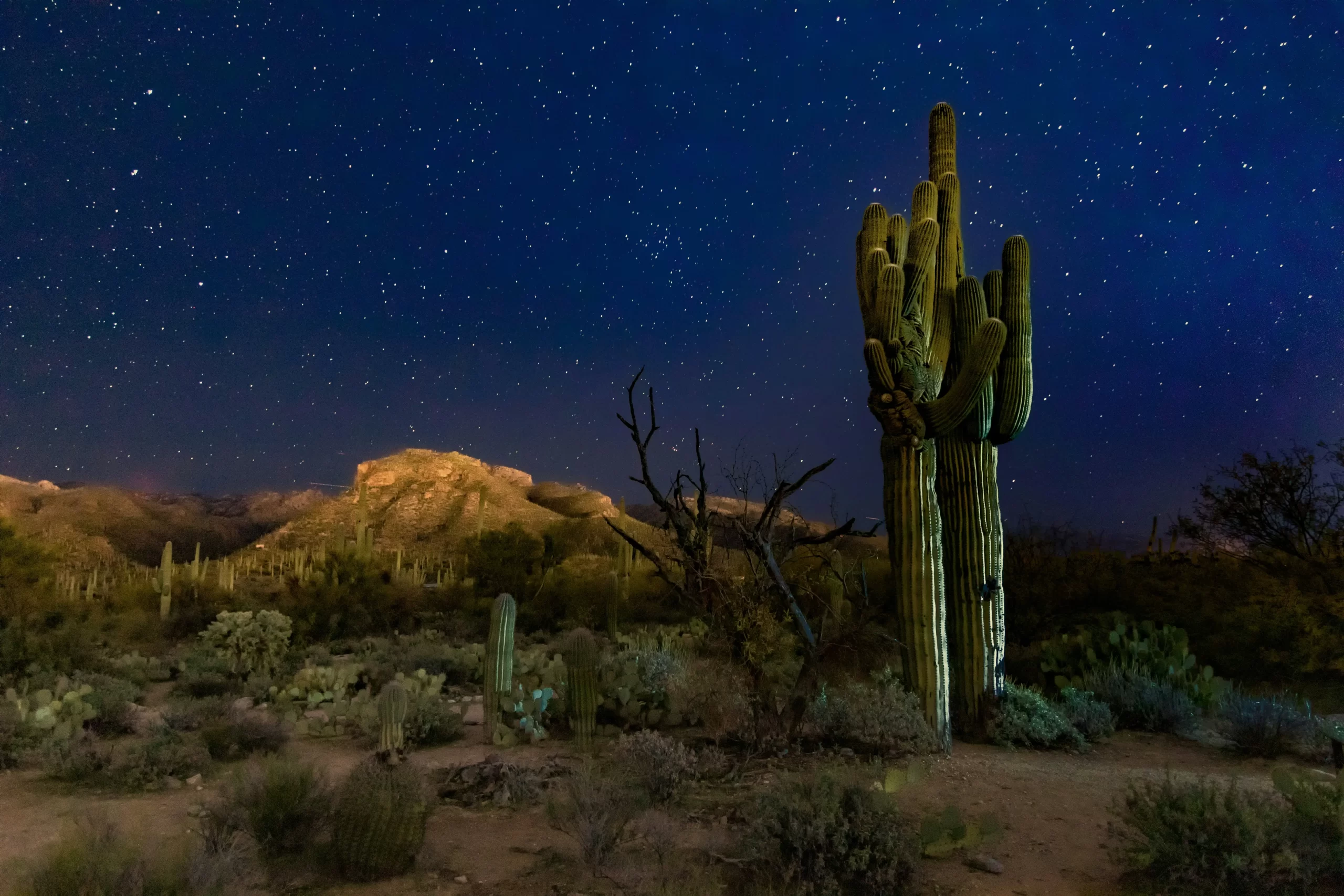 Marfa Texas in 2025: Art, Stars & Desert Mystique