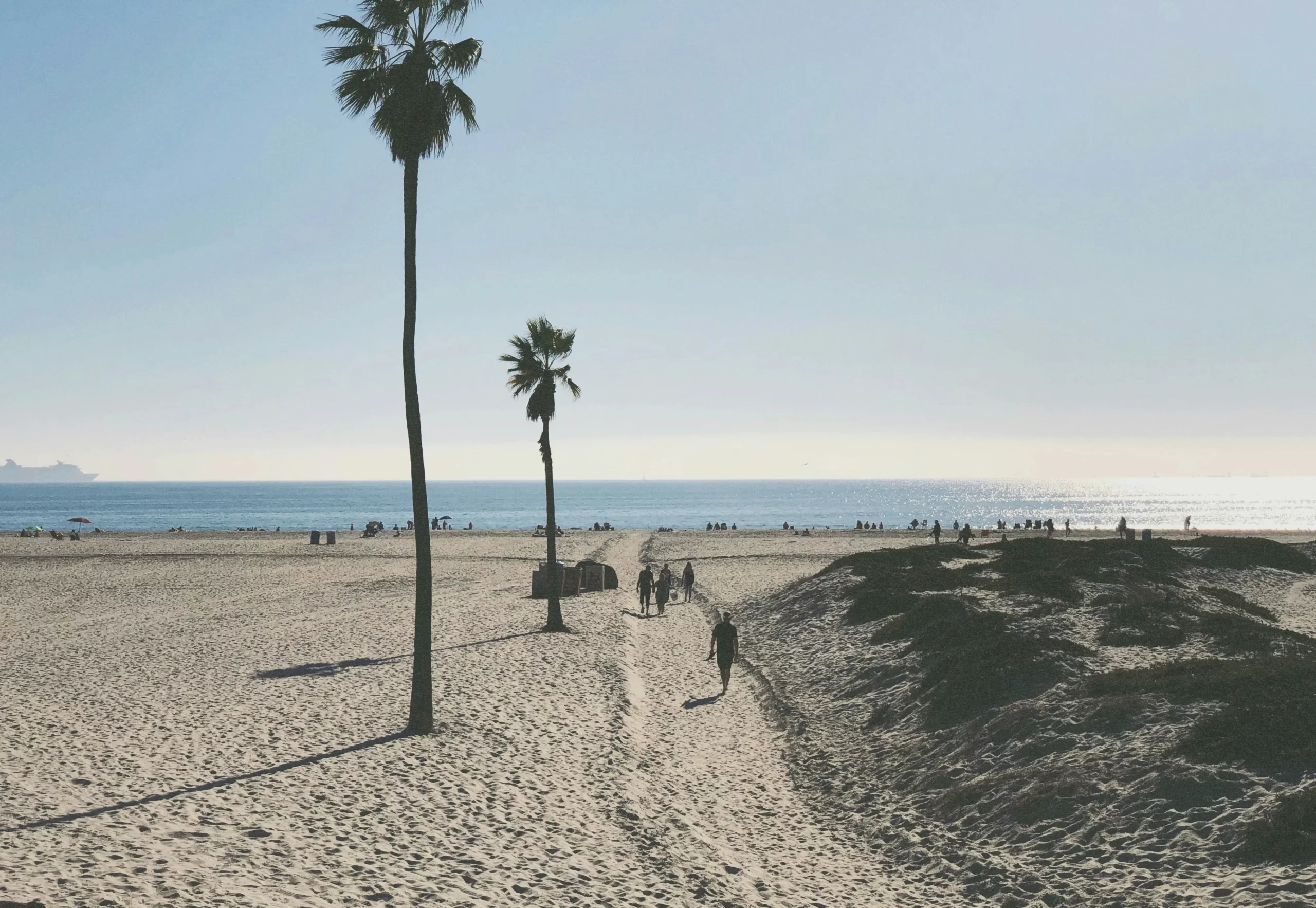 Best Things to do in California in December (2025 Guide)