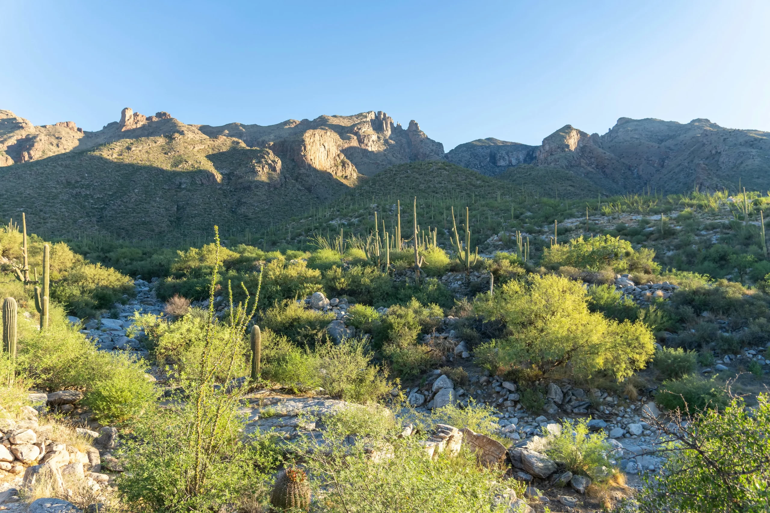 Best places to visit in Arizona in 2025? Budget Guide